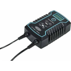 CHARGEUR DE BATTERIE PROFESSIONNEL 12-24V - MASSON SARL