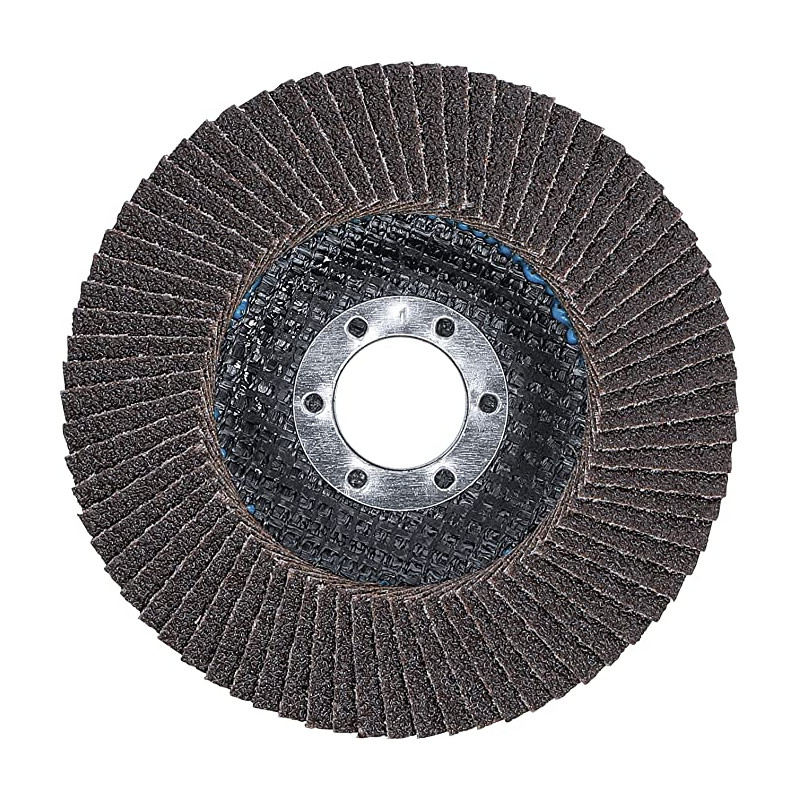 10 Disques Abrasifs à Lamelles Grain 60 - Pour Perceuse, Meulage Et Polissage