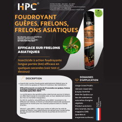 BOMBE INSECTICIDE GUEPES, FRELONS - 750 ML - SARLAT OUTILLAGE